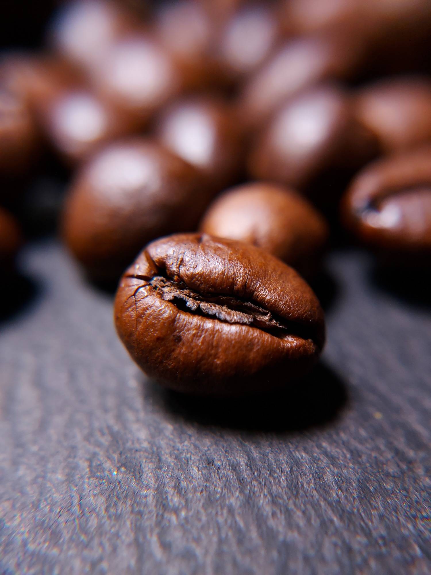 Un grano de café tostado en primer plano sobre pizarra oscura